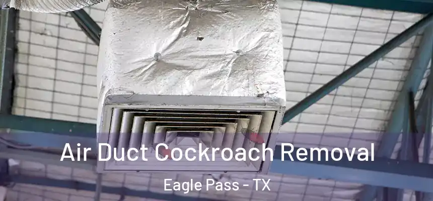  Air Duct Cockroach Removal Eagle Pass - TX