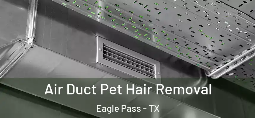  Air Duct Pet Hair Removal Eagle Pass - TX