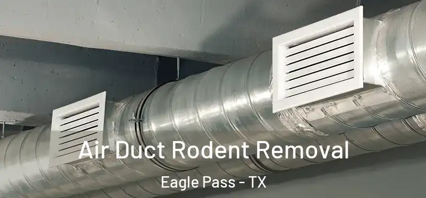  Air Duct Rodent Removal Eagle Pass - TX