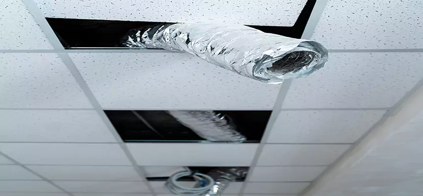 Our Air Duct Pet Hair Removal Services in Eagle Pass, TX