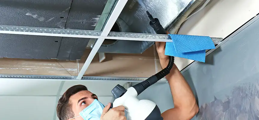 Our Air Duct Rodent Removal Services in Eagle Pass, TX