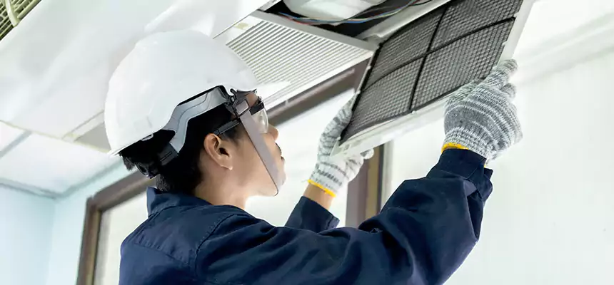 Our Mold & Mildew Removal from Air Ducts Services in Eagle Pass, TX