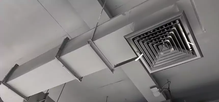 Our Pest Removal From Ducts Services in Eagle Pass, TX