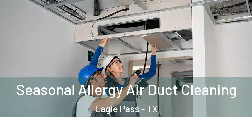  Seasonal Allergy Air Duct Cleaning Eagle Pass - TX