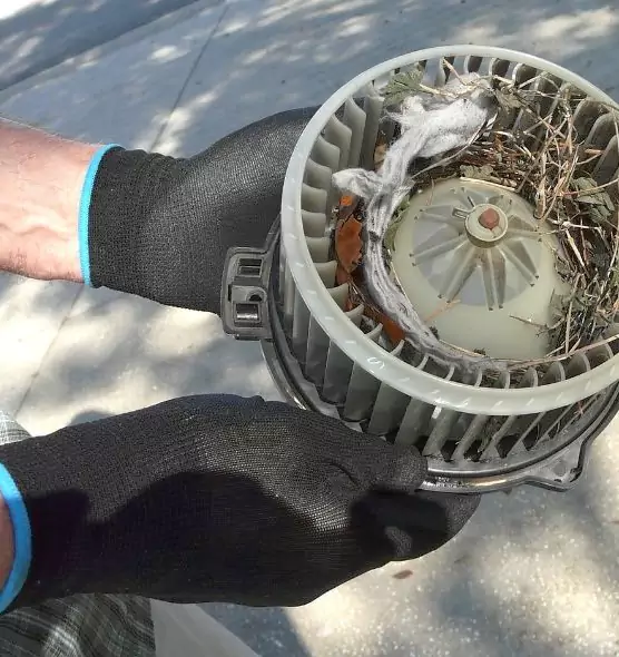 About Air Duct Rat Removal in Eagle Pass, TX