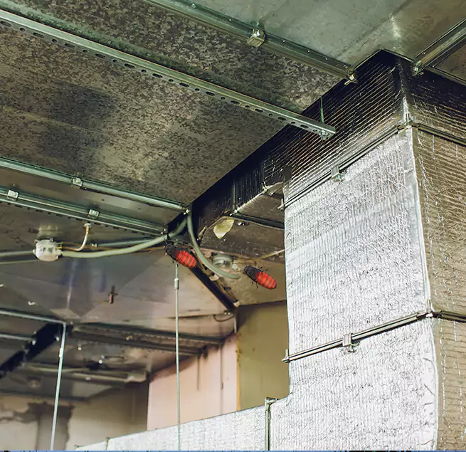 Why Homeowners & Businesses Trust Us in Eagle Pass, TX?