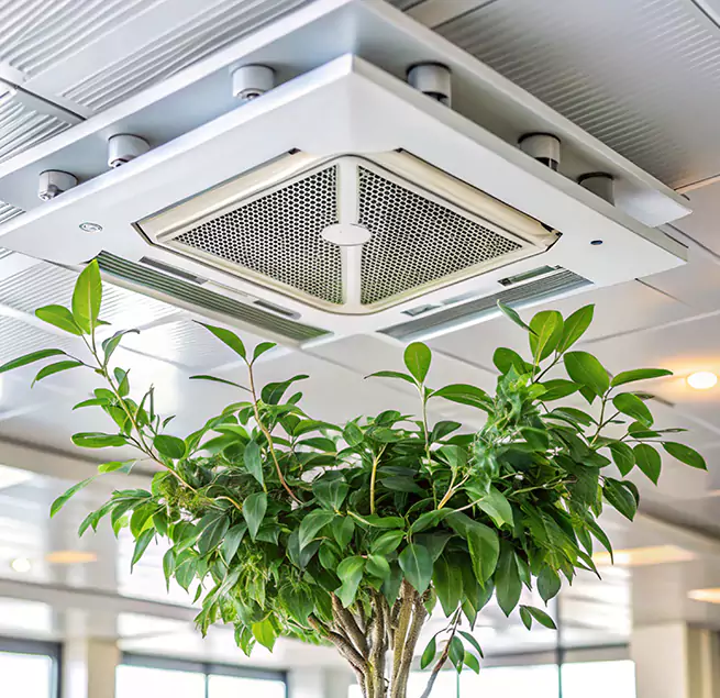 Why Homeowners & Businesses Trust Us in Eagle Pass, TX